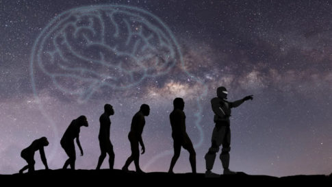 進化の行き着く先